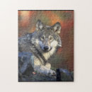 Buscar lobos grises puzzles Canis lupus