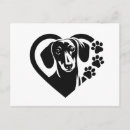 Buscar teckel postales Dachshund