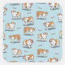 Buscar bulldog inglés pegatinas Bulldoges