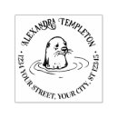 Buscar nutria marina oficina escuela Adorable