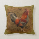 Buscar gallo y gallina cojines Polluelo