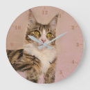 Buscar maine coon relojes de pared Animal