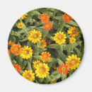 Buscar natura imanes Flores