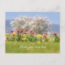 Buscar flores de la primavera postales Madre