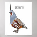 Buscar codornices posters Pájaro