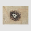 Buscar huevos pascua de papel de seda General y unisex