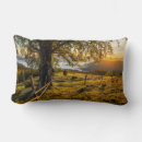 Buscar cordillera cojines 5 º valla