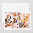 Buscar nuevo perro tarjetas Collage de fotos