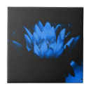 Buscar loto azulejos Naturaleza