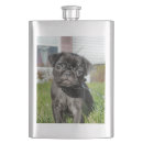 Buscar cachorro petacas Canina