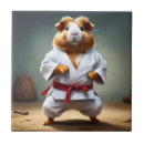 Buscar karate azulejos Divertido