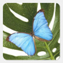 Buscar crecimiento pegatinas Azul