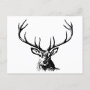 Buscar cerveza postales Antagonismos