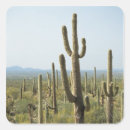 Buscar cactus del saguaro pegatinas Exterior