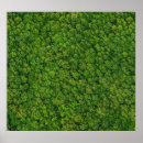 Buscar paisaje aéreo posters Bosque