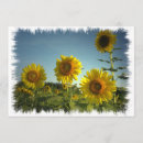 Buscar sostenibles invitaciones Jardín