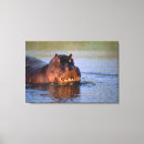 Buscar africano arte Mamífero