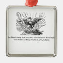 Buscar renacimiento adornos Escuela