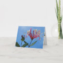 Buscar madreselva tarjetas Flor