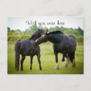 Buscar animal del campo postales Pasto