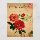 Buscar french postales Rosa