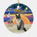 Buscar zapatos adornos Para todos