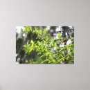 Buscar ramas de árbol lienzos Primavera