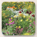 Buscar susans casa hogar Flores