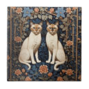 Buscar gatos azulejos Felino