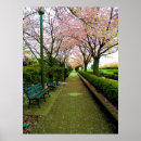 Buscar flores de cerezo blancas posters General y unisex