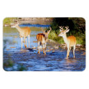 Buscar ciervo imanes General y unisex