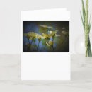 Buscar dogwood tarjetas Naturaleza