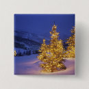 Buscar árbol de navidad chapas Frío