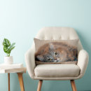 Buscar gato azul ruso cojines Gris