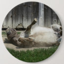 Buscar burro chapas Divertido