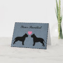 Buscar pitbull invitaciones Pozo