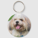 Buscar bichon llaveros Adorable