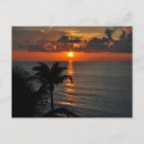 Buscar cancun postales Tropical