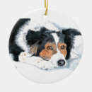 Buscar border collie adornos Canino
