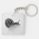 Buscar caracol llaveros Animal