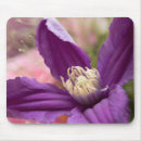 Buscar clematis alfombrillas de raton Clemático