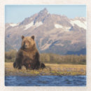 Buscar garras de oso posavasos Entorno