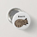 Buscar kitten chapas Adorable