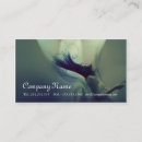 Buscar beauty tarjetas de visita Estilista