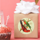 Buscar loros pegatinas Colorido