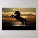 Buscar horse silhouette arte Animal