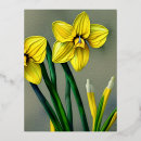 Buscar narcissuses Para todos