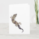 Buscar gecko tarjetas Foto