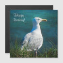 Buscar gaviota tarjetas Para él