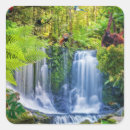 Buscar selva tropical pegatinas Para todos